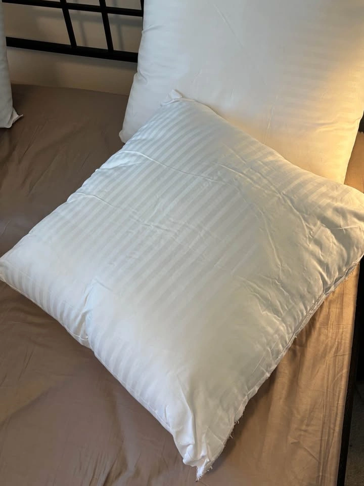 Pillow Inserts/Cushions (Set of 5) - photo 2
