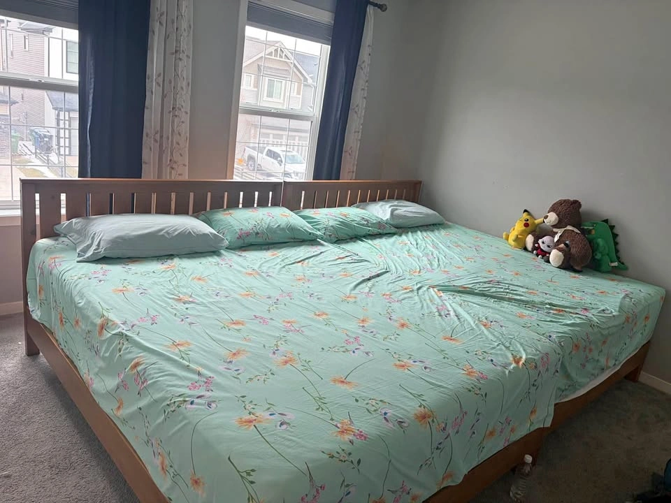 2 Queen Bed Frames + Novaform Mattresses