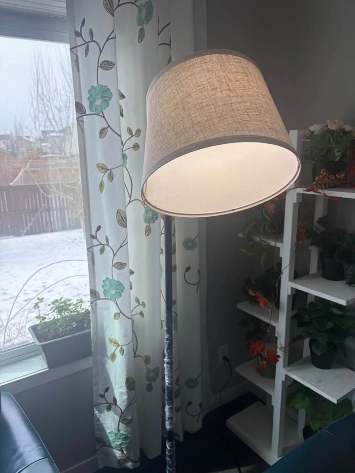 Brand new lamp - photo 2