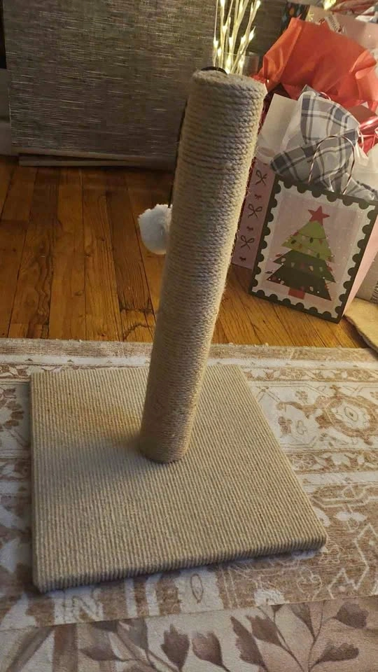 Kitten Scratcher
