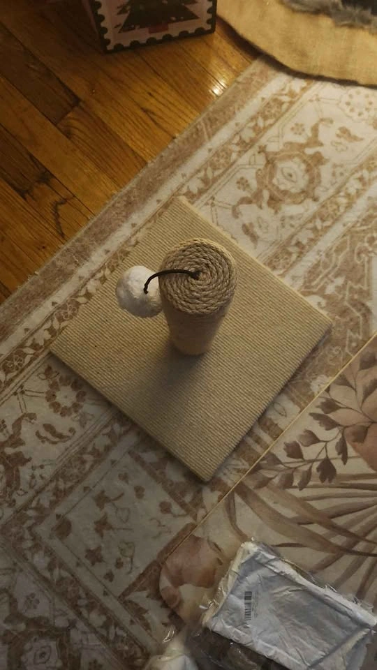 Kitten Scratcher - photo 2