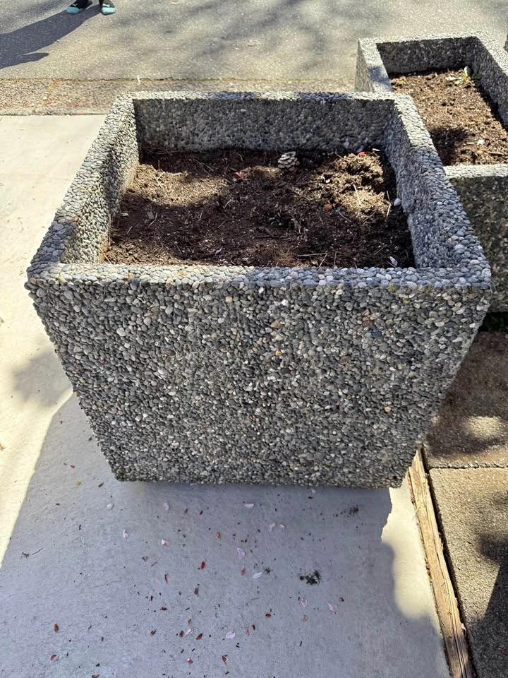 Huge Concrete Planters/ Pots