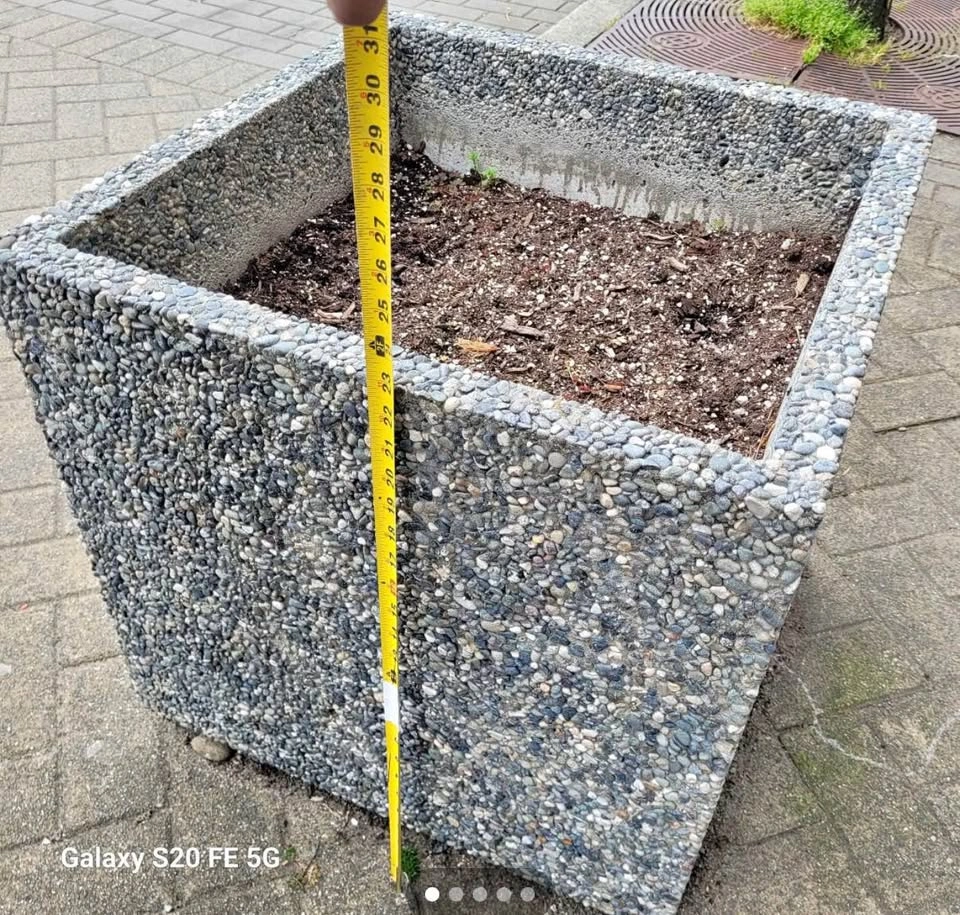 Huge Concrete Planters/ Pots - photo 4