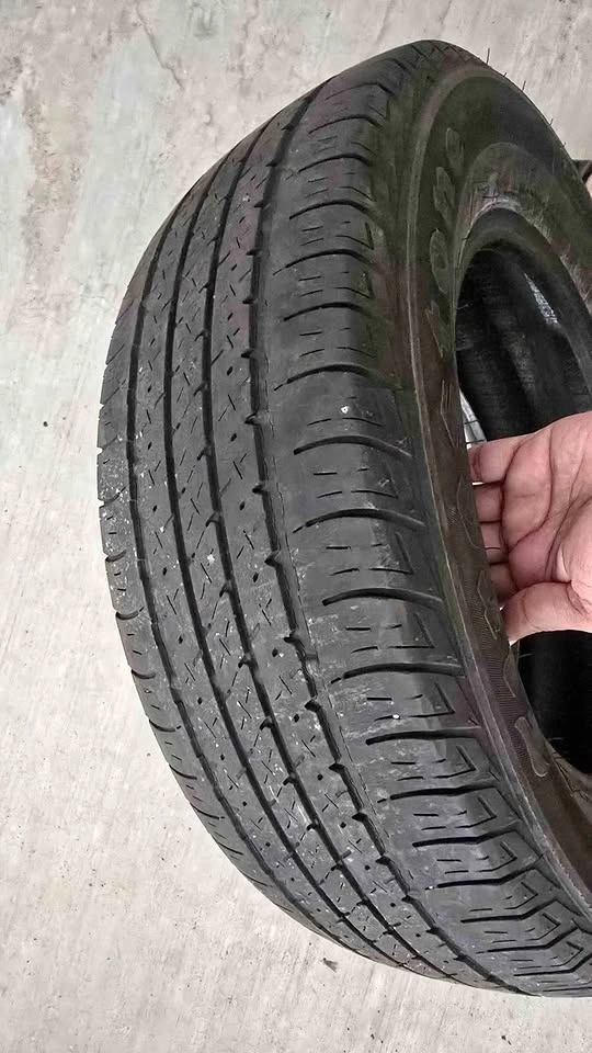 Firestone Tire – 195/65R15