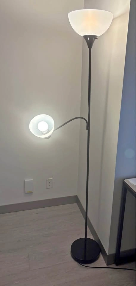 Lamp (bulbs included)