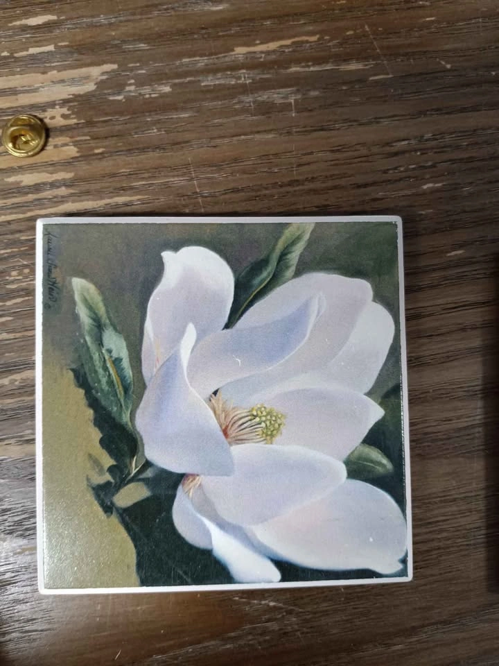 🌱AbsorbaSton Magnolia Stone Coasters 4-Pack - photo 3
