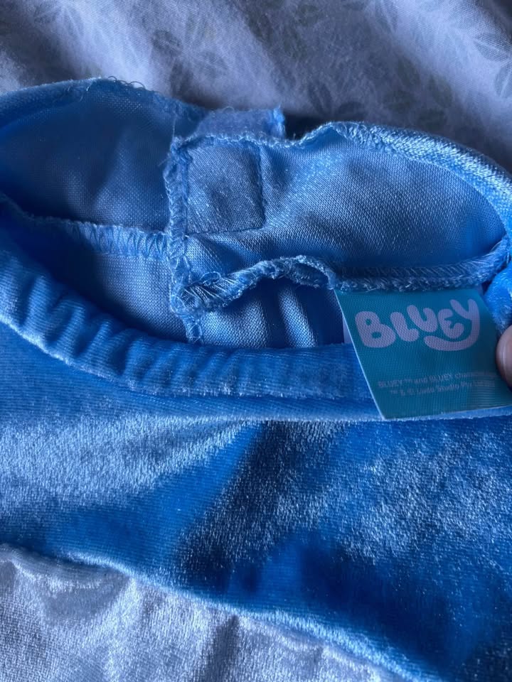 Bluey Costume – Size 3T-4T - photo 2