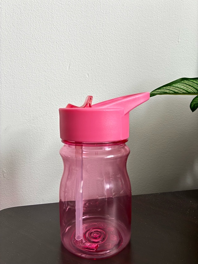 Pink Water Bottle with Straw Flip Top Handle