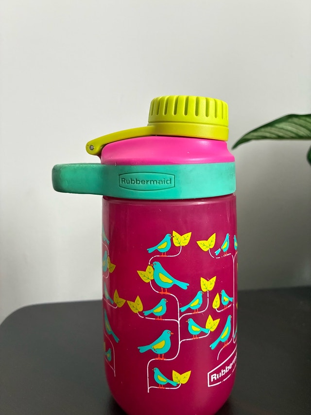 Rubbermaid Colorful Water Bottle with Bird Design