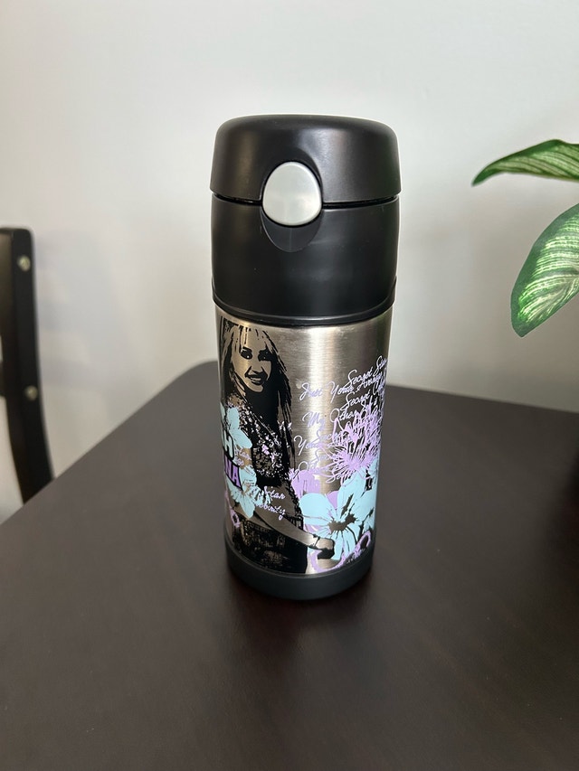 Thermal Water Bottle w/ Push Button Lid – Great Condition