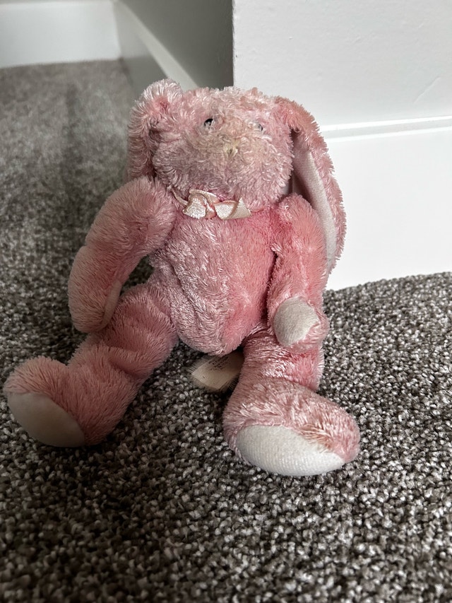 Bunny rabbit stuffed animal