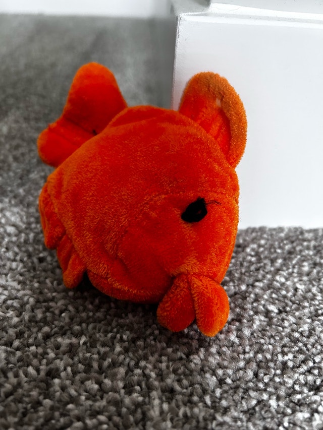 Goldie the Goldfish - photo 2