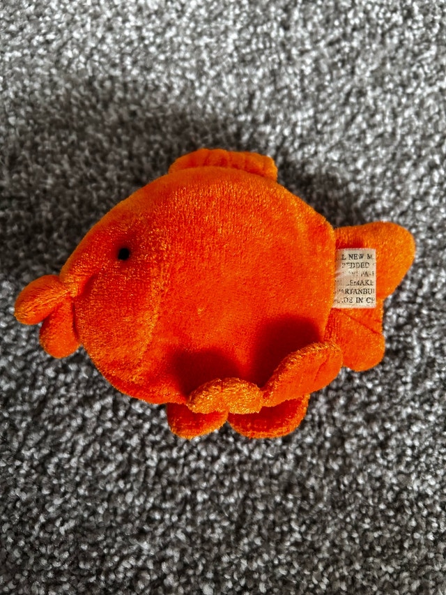 Goldie the Goldfish - photo 3