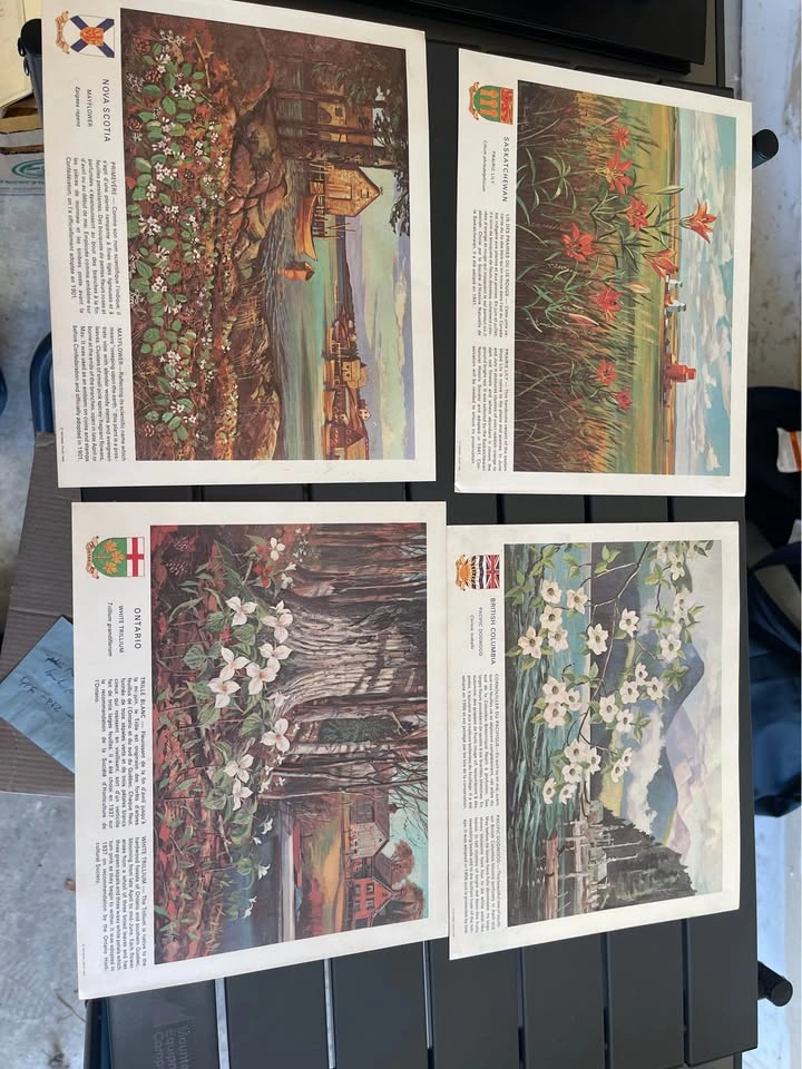 1967 Canadian Provincial Flowers Set by Walter Coucill - photo 4
