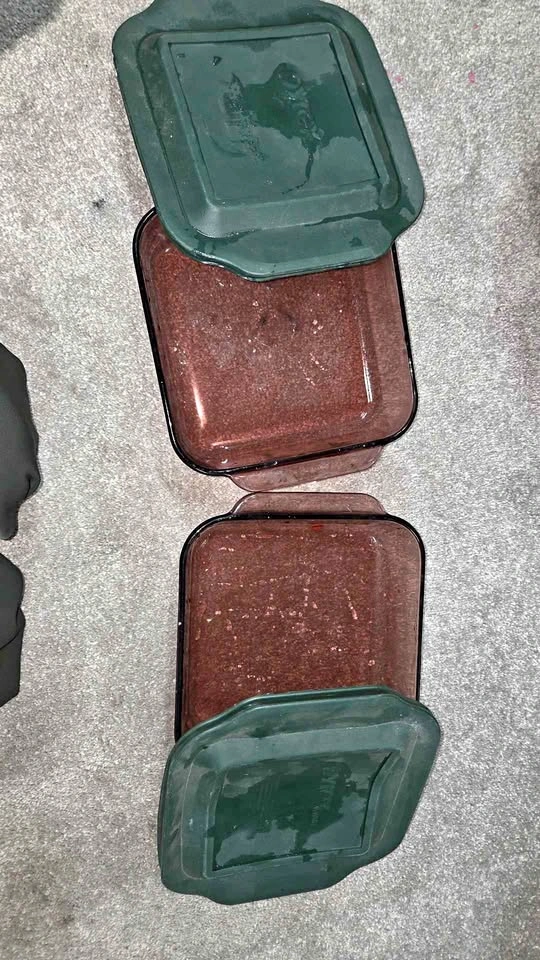 Pyrex Glass Baking Dishes with Lids (2)
