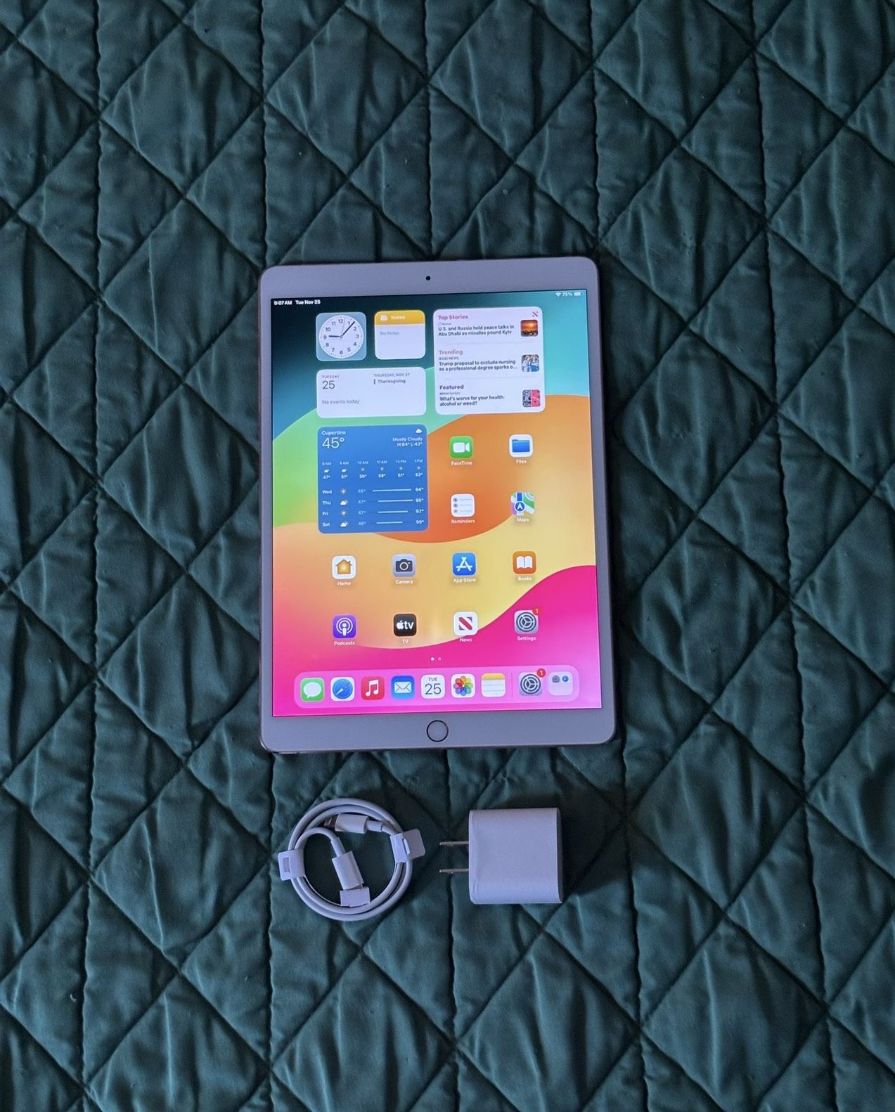 iPad Pro 10.5” 1st Gen 64GB $160 OBO - photo 2
