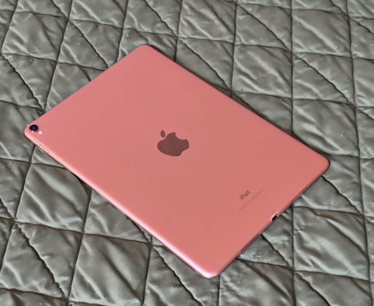 iPad Pro 10.5” 1st Gen 64GB $160 OBO - photo 4