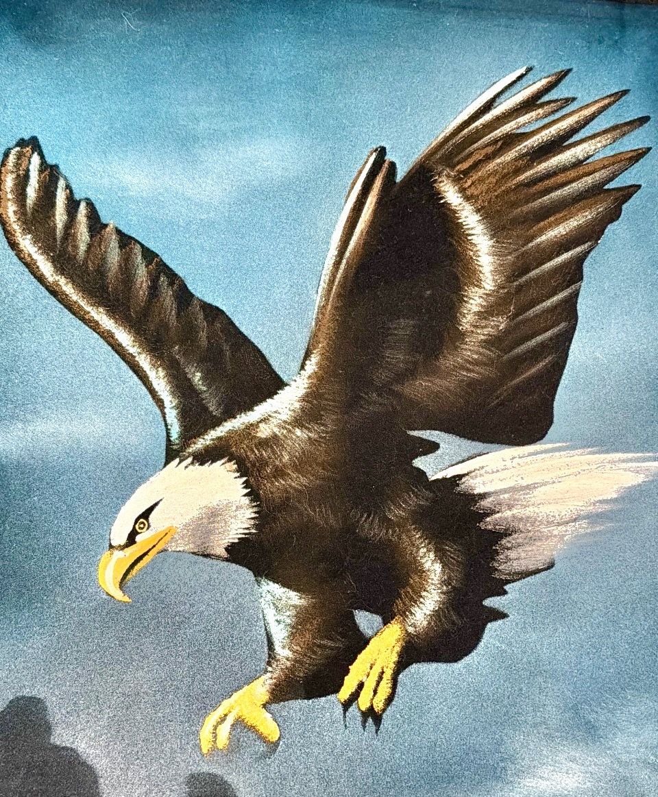 Framed Flying Bald Eagle Black Velvet Painting - Jose-David Orti - photo 5