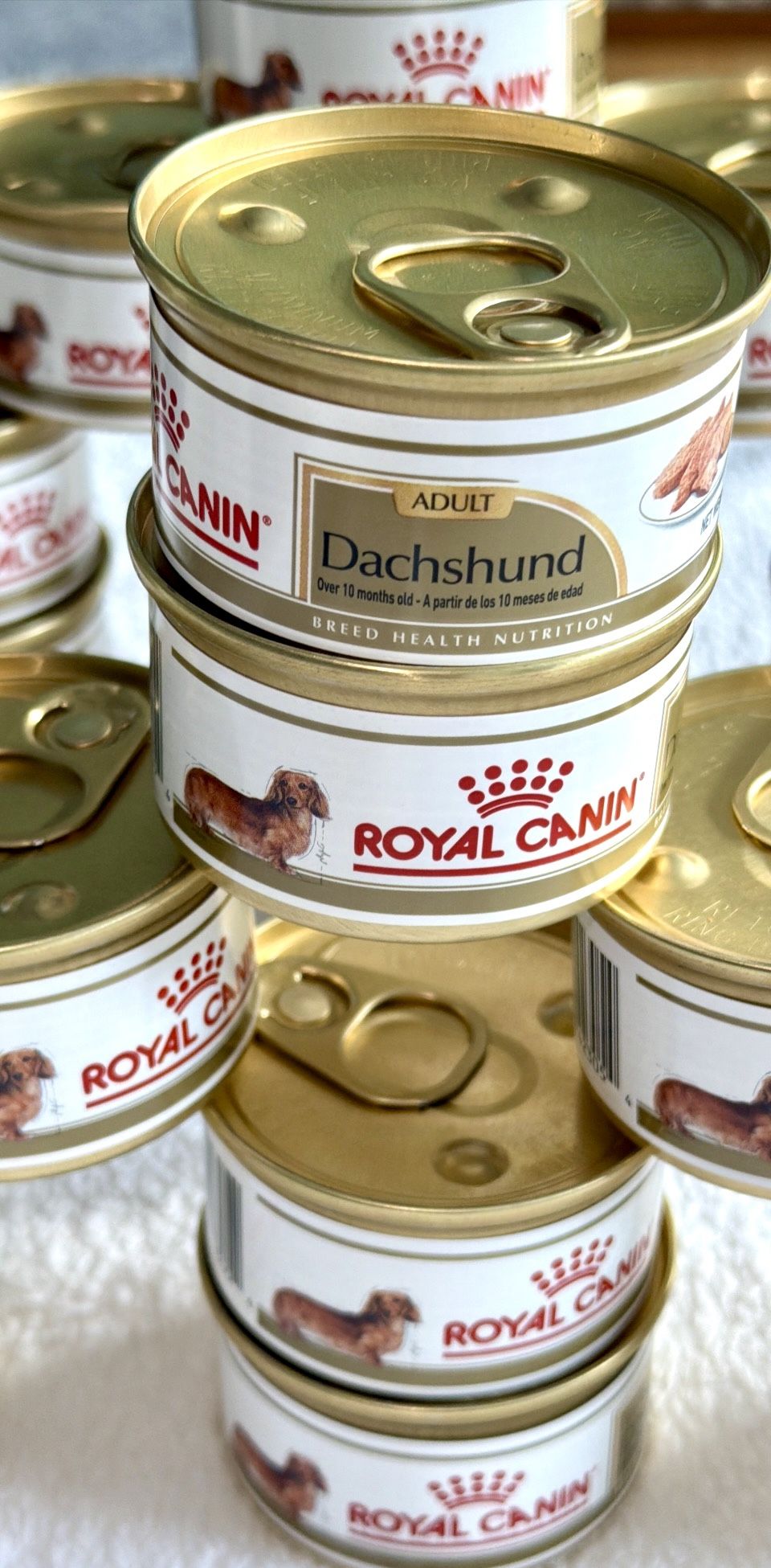 Royal Canin Dachshund Adult Dog Food 23 Cans - photo 2