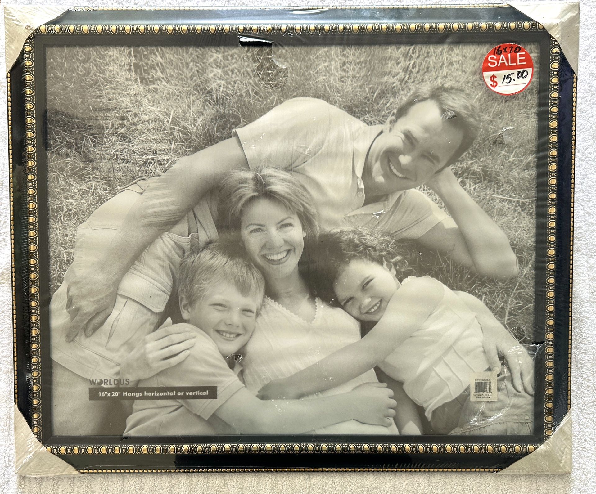 Large 16x20 Black Picture Frame with Gold Detail - New