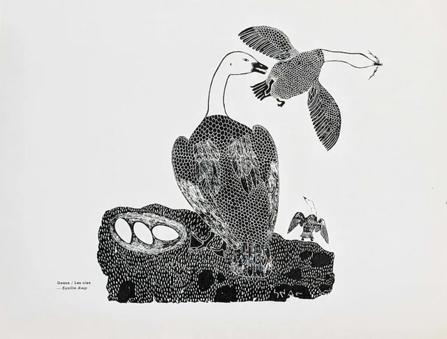 Eskimo Prints For the Owners of The Arctic image indicator(5)