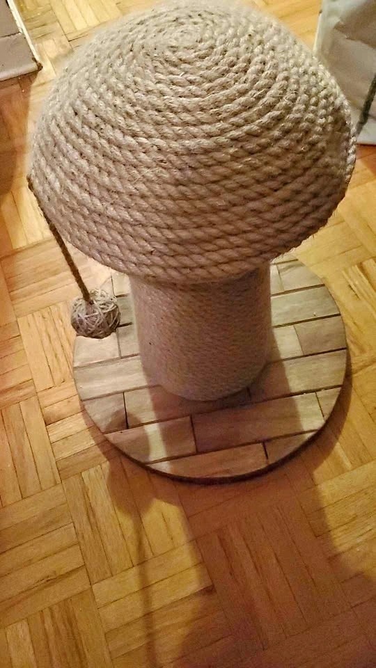 Cat scratcher for kittens