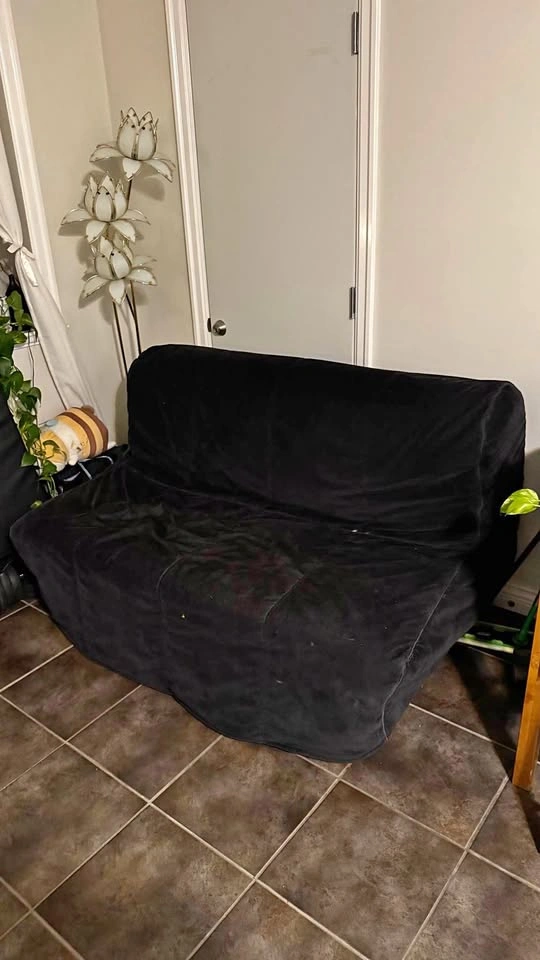 Pull out sofa bed