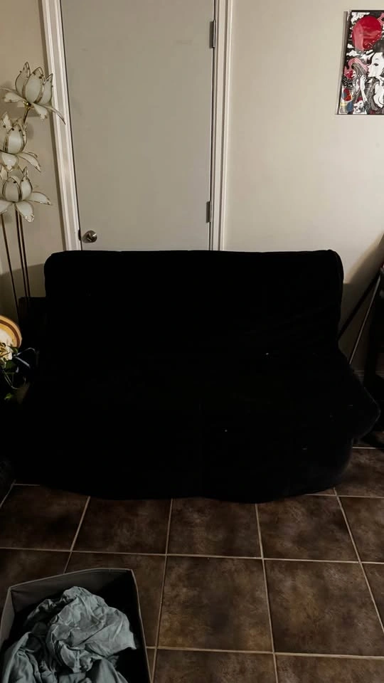 Pull out sofa bed - photo 2