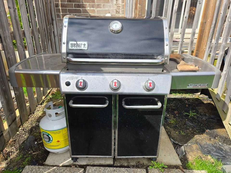 Bbq - photo 3