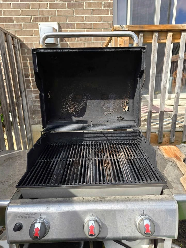 Bbq - photo 5