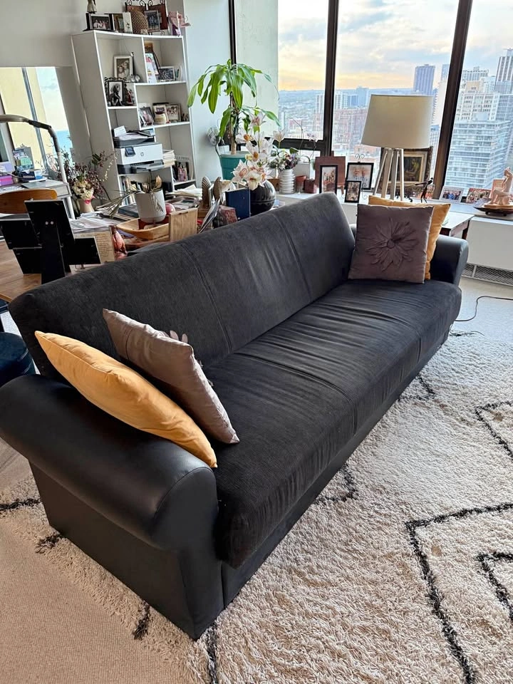Large Sofa / Sleeper with storage
