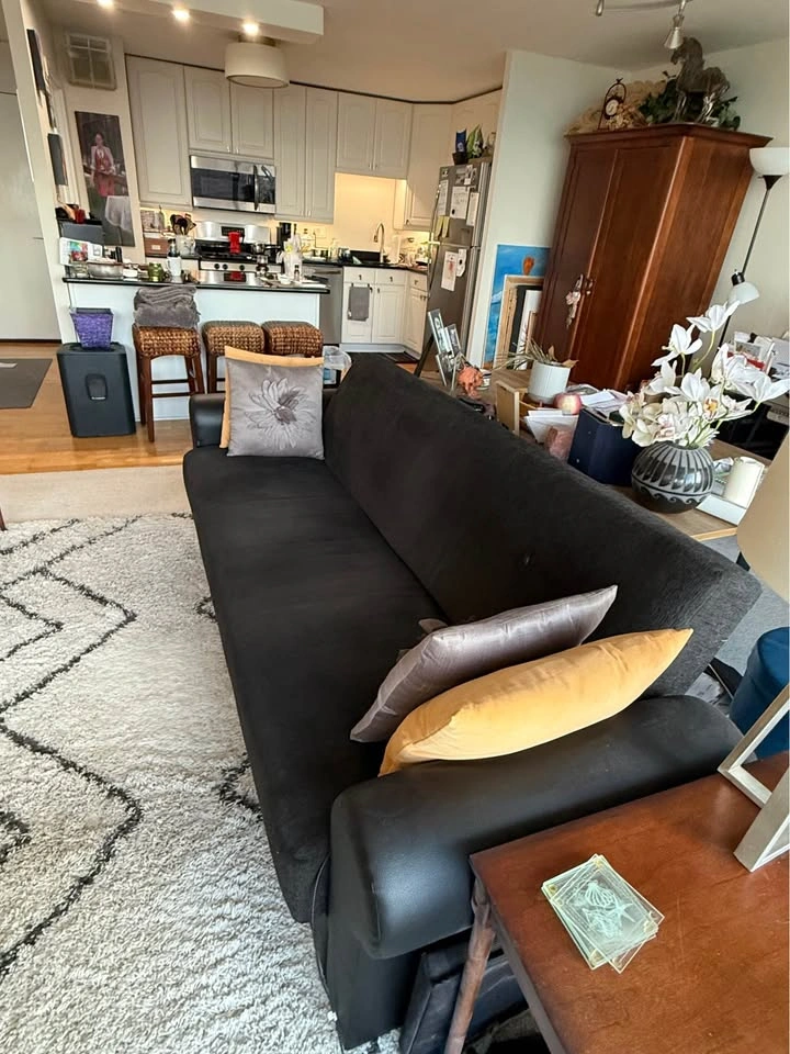 Large Sofa / Sleeper with storage - photo 3