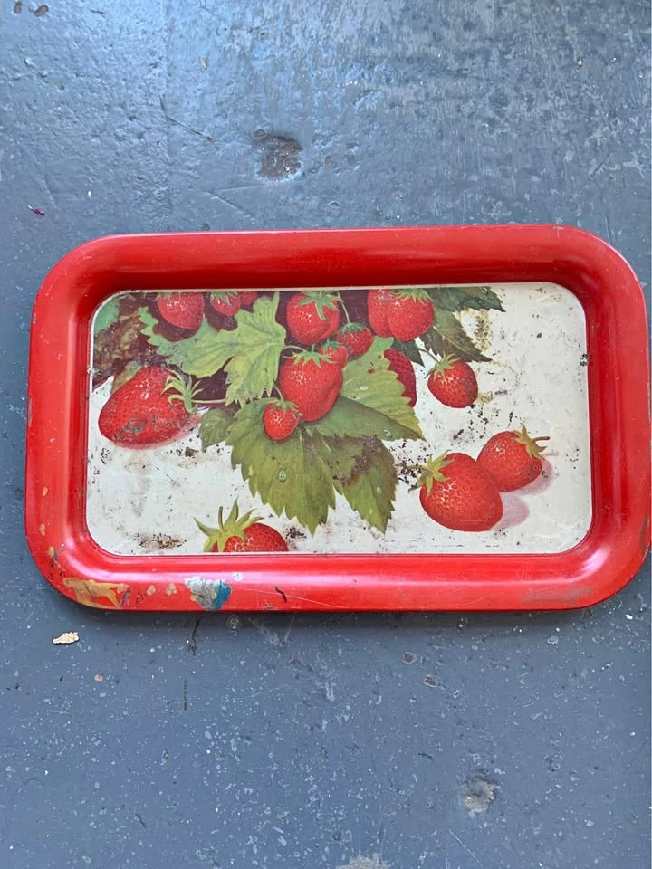 Metal Tray