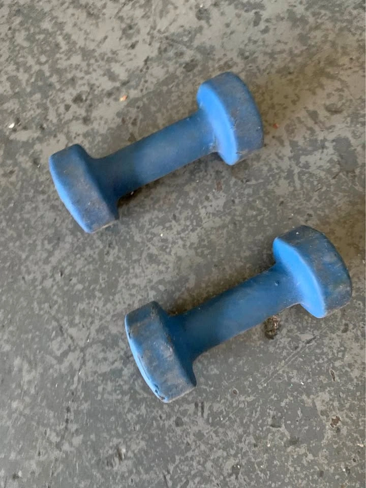Set of two weights, 5 lbs each