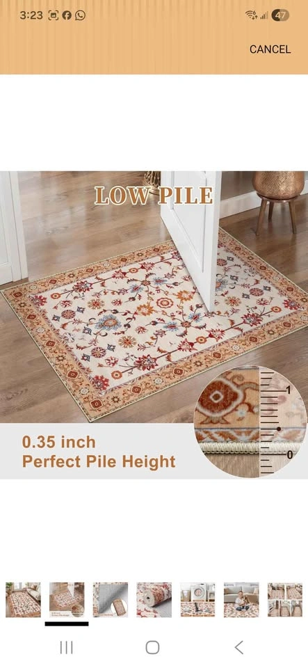 Brand New Tangsoo Floral Area Rug 3x5 - photo 3
