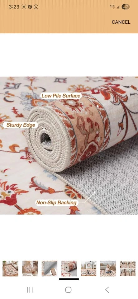 Brand New Tangsoo Floral Area Rug 3x5 - photo 5