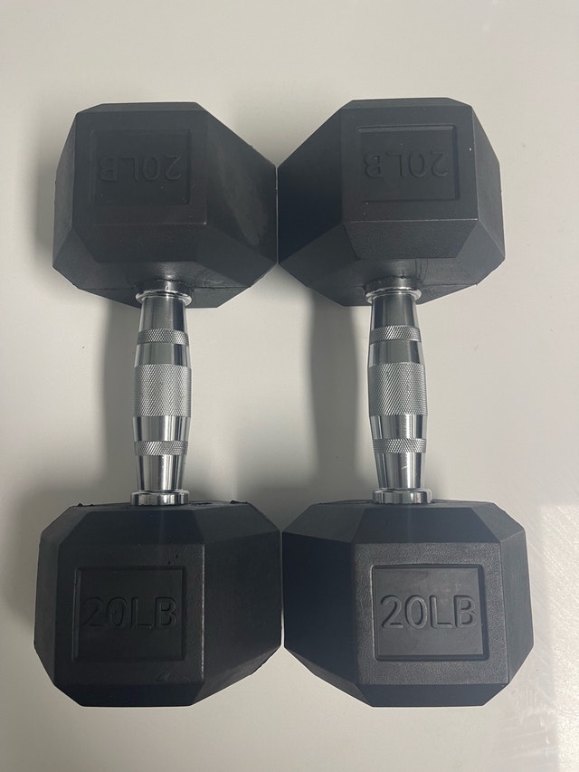 Rubber Hex Dumbbells 20lbs x 2