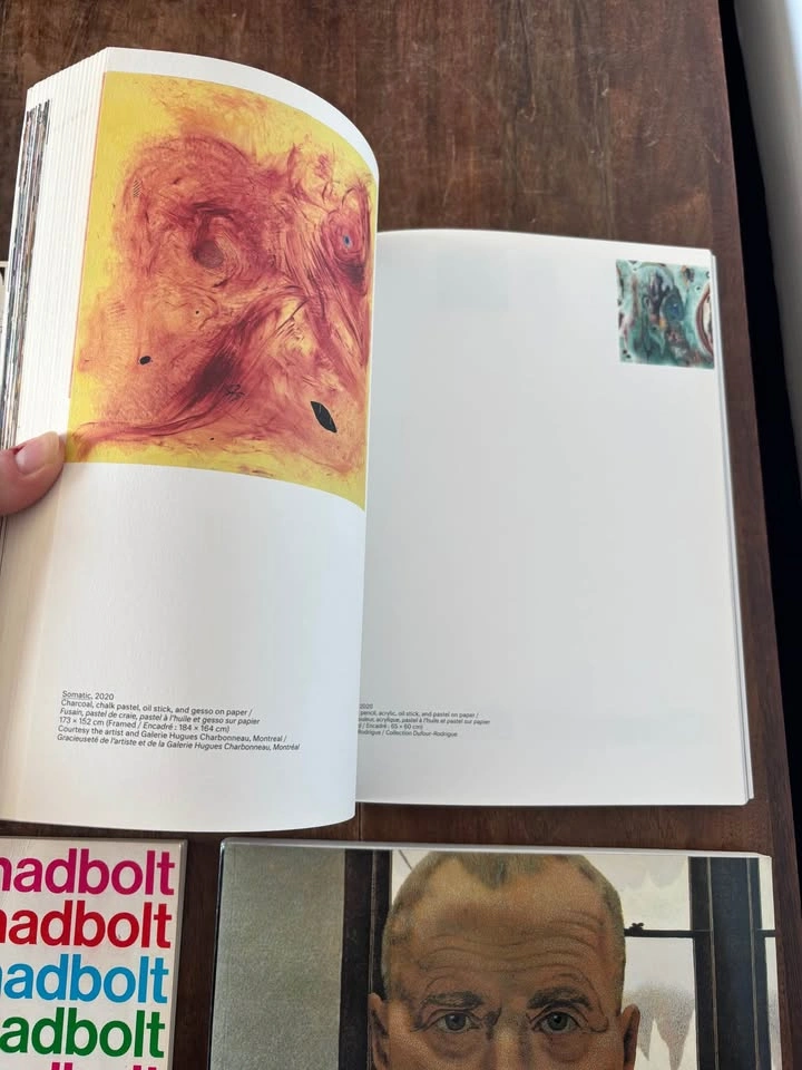 Art Books - Jack Shadbolt, Colville, Saul Steinberg + more - photo 4