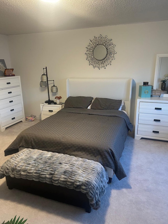 New Bed Sheet Set, Double