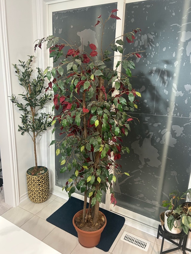 6 feet 6 inches Artificial Tree