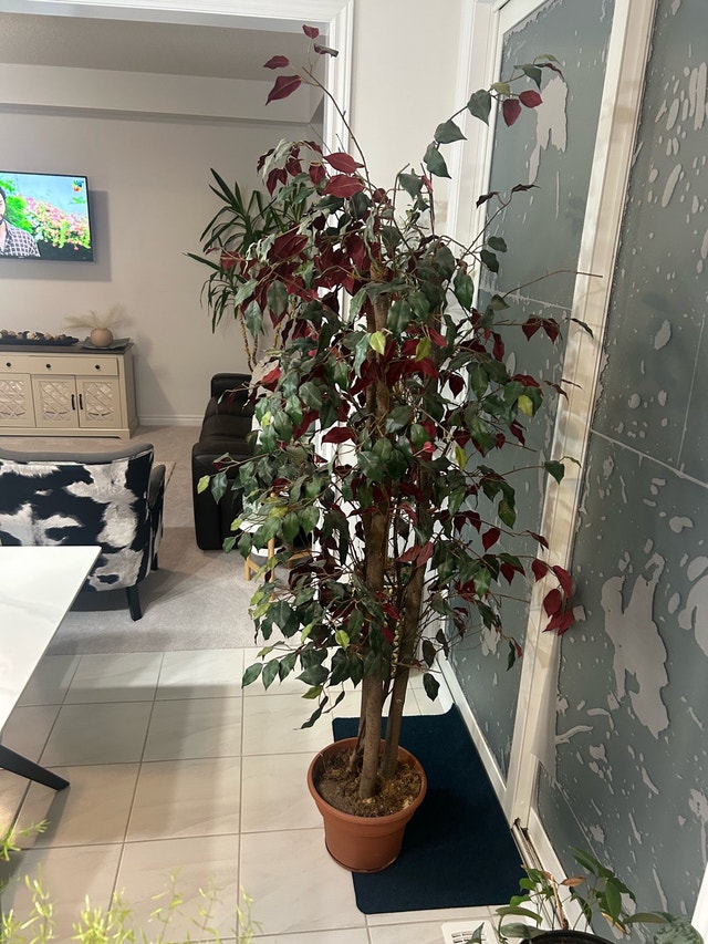 6 feet 6 inches Artificial Tree - photo 2