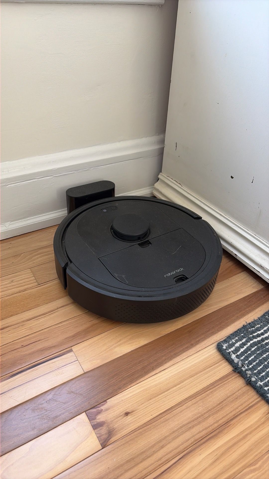Roborock Robot Vacuum