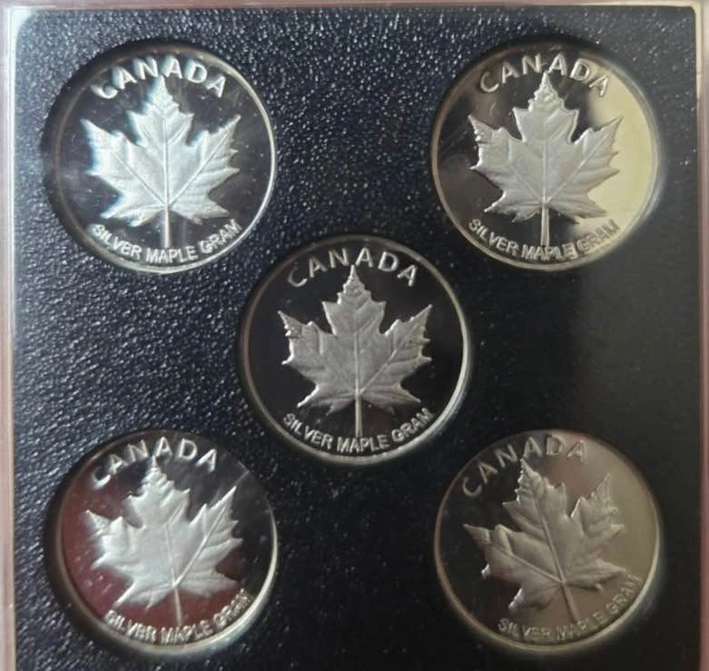 25pc 1g Pure Silver Wildlife Maples Tube - photo 2