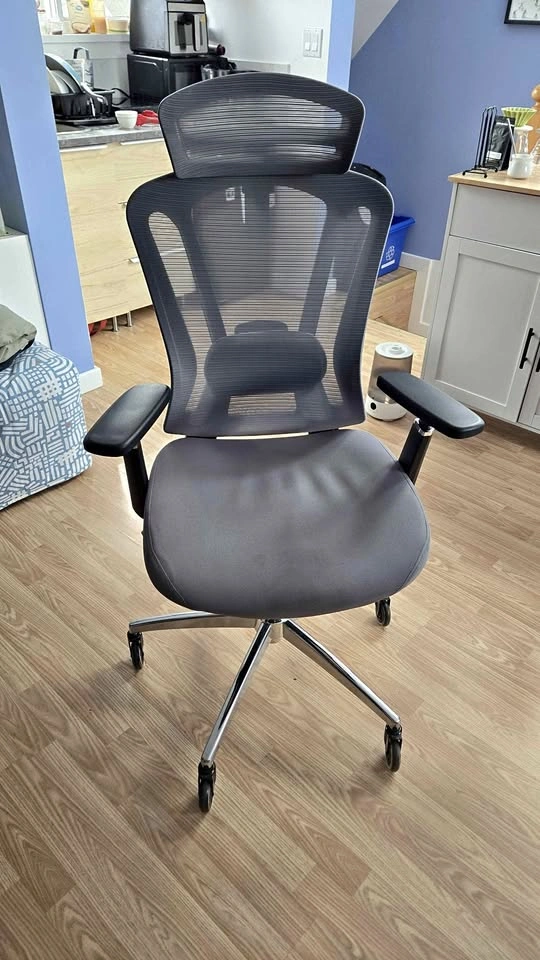 Ergonomic Office Chair