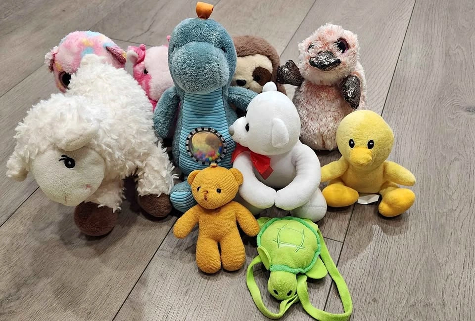 Adorable Plush Toy Bundle – Cute Animals & Teddy Bears 🧸🐥🐢🦖
