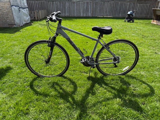 Raleigh Route Bike