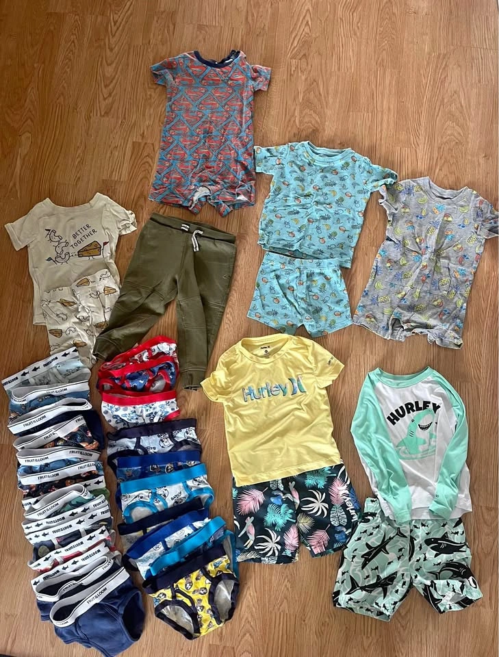 Toddler Boy Clothing and Swim Suit Bundle