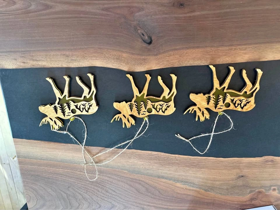 Laser cutting /engraving