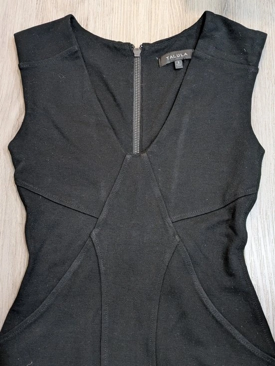 Talula by Aritzia Black Bodycon Mini Dress – Size 2 - photo 3