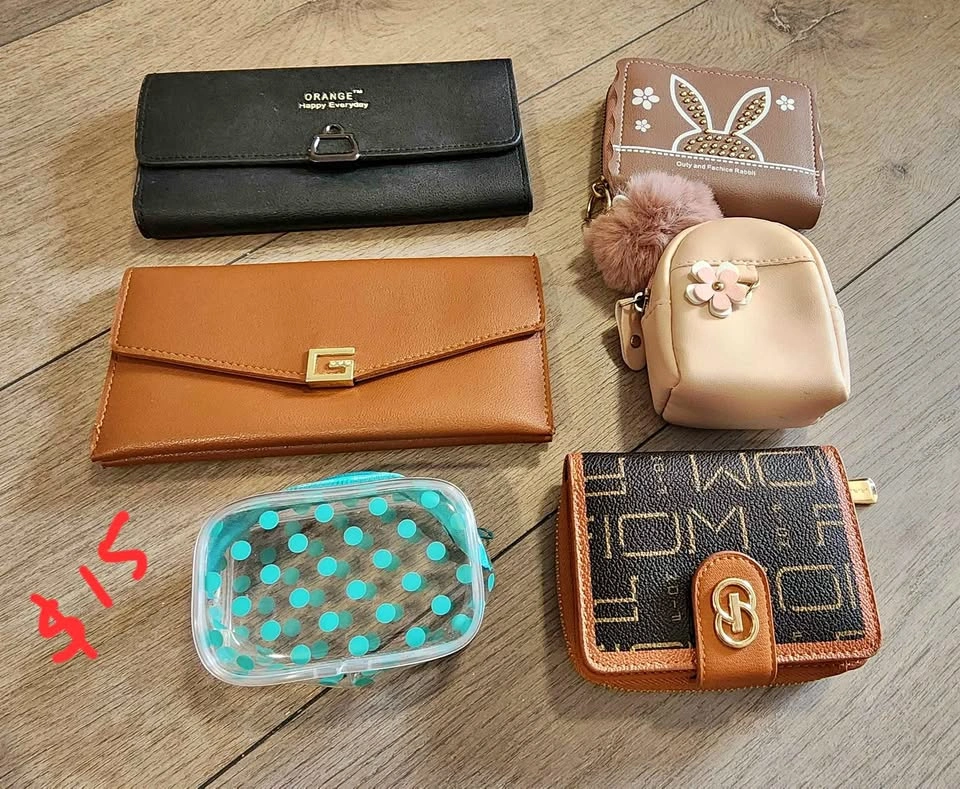 Assorted Clutches, Wallets & Small Purses – Stylish Collection